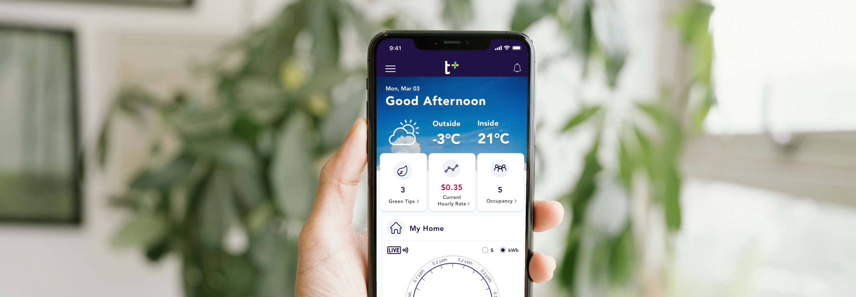 Trickl Plus case study main image
